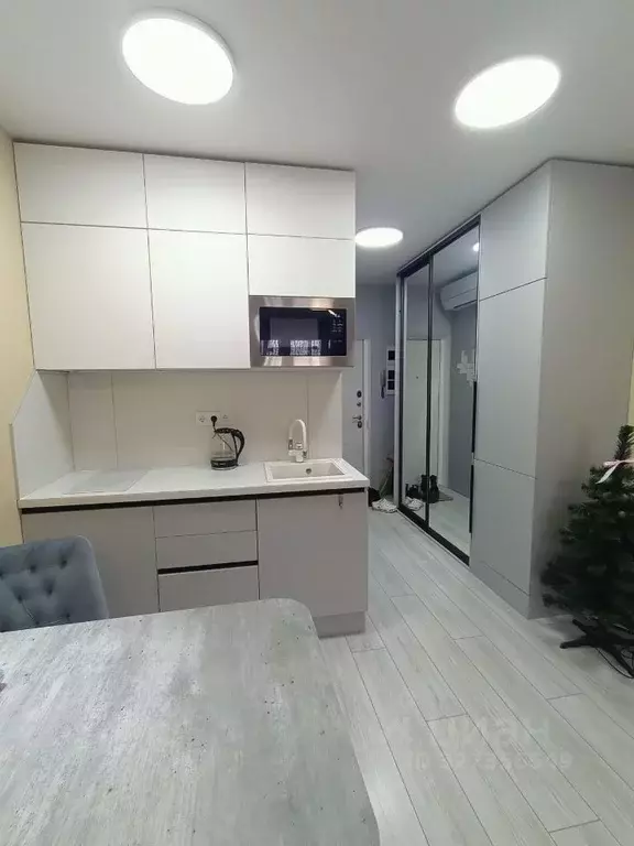 Студия Московская область, Солнечногорск городской округ, Андреевка ... - Фото 1