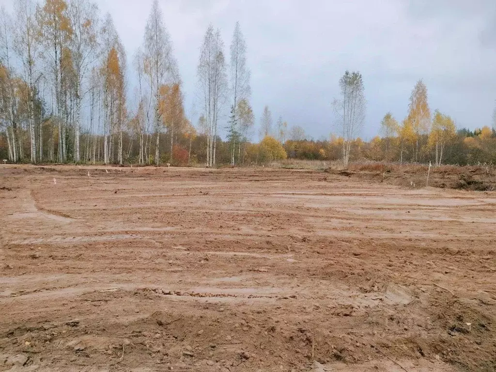 Участок в Ленинградская область, Лодейнопольский район, Янегское ... - Фото 2