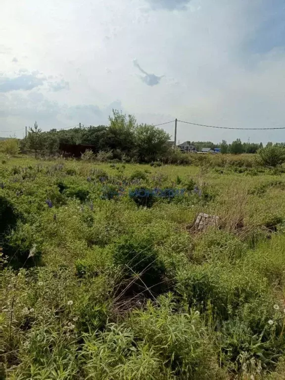Участок в Нижегородская область, Богородский муниципальный округ, д. ... - Фото 1