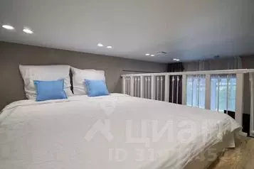 1-к кв. Нижегородская область, Нижний Новгород Ильинская ул., 13/2 ... - Фото 1