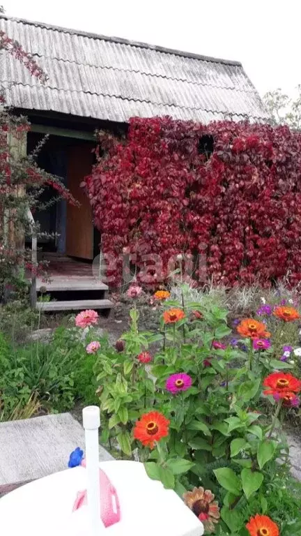 Дом в Курган, улица Свободы (25 м) - Фото 2