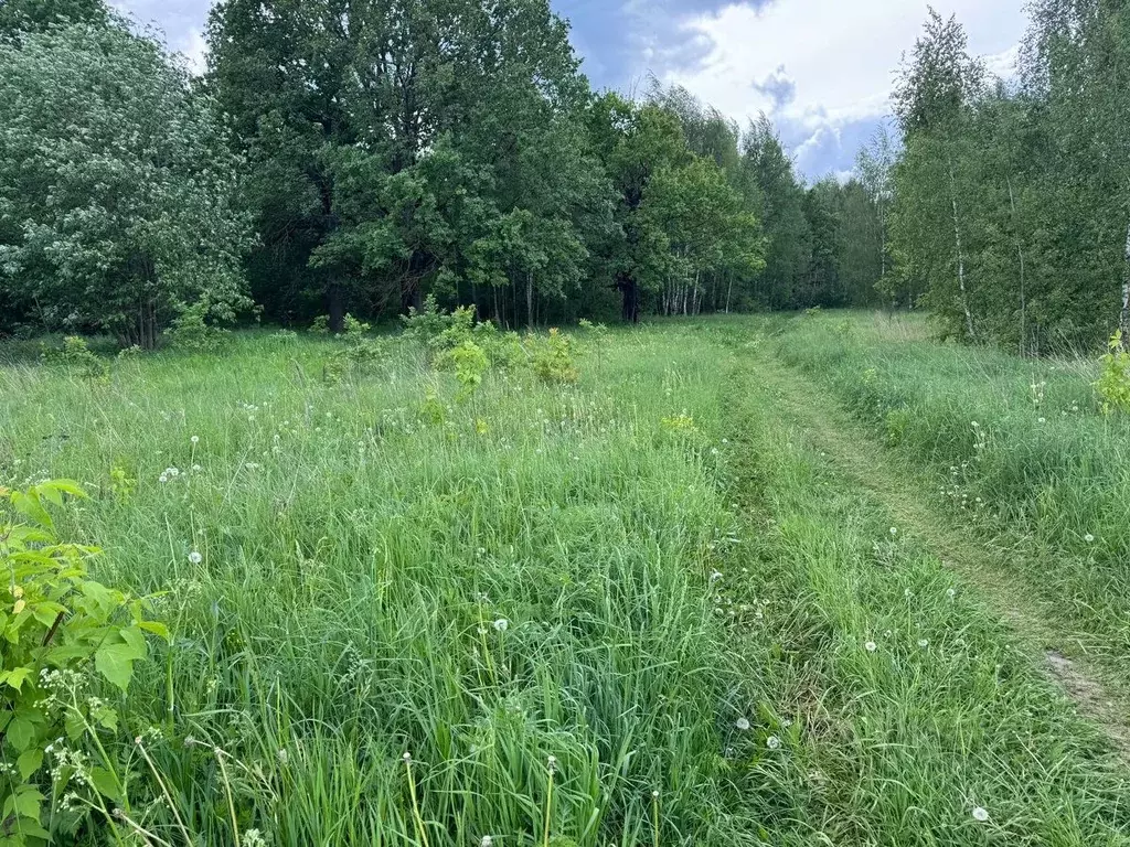 Участок в Московская область, Богородский городской округ, д. ... - Фото 1