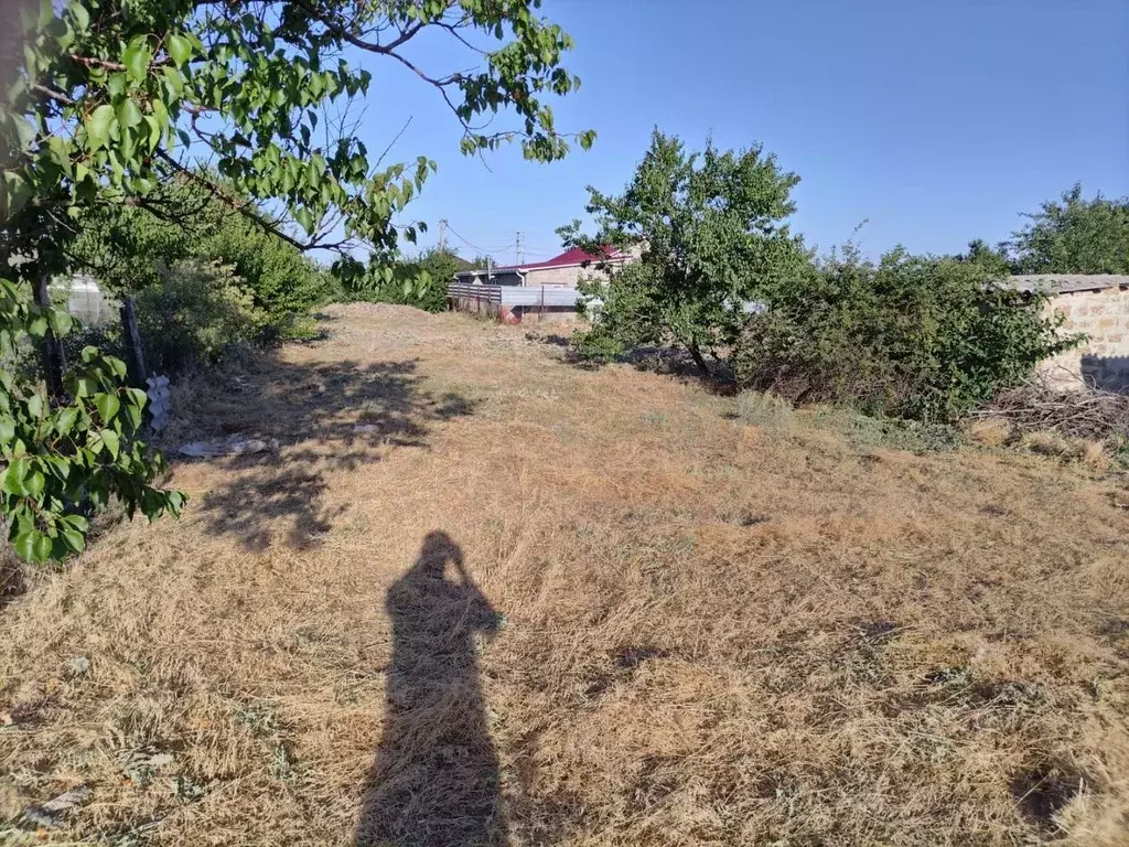 Участок в Ростовская область, Волгодонской район, Добровольское с/пос, ... - Фото 1