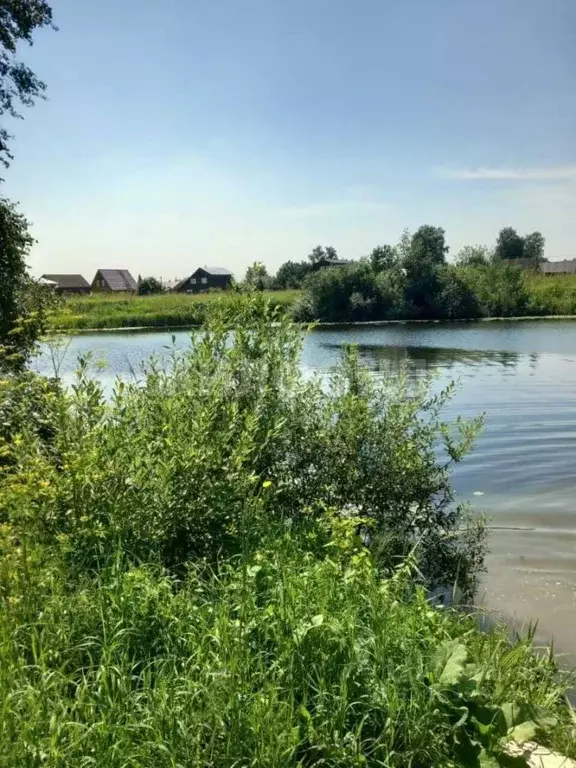 Участок в Новосибирская область, Коченевский район, Рыбачий кп ул. ... - Фото 2