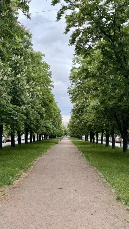 2-к кв. Санкт-Петербург просп. Шаумяна, 54 (45.8 м) - Фото 2