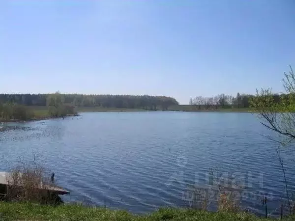 Участок в Московская область, Кашира городской округ, д. Руднево  (2.9 ... - Фото 2