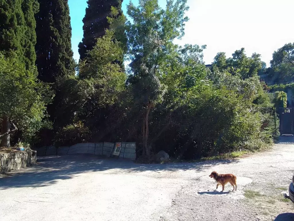 Участок в Крым, Ялта муниципальный округ, пос. Даниловка  (11.6 сот.) - Фото 2