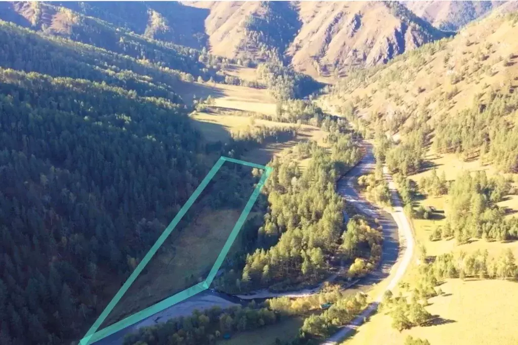 Участок в Алтай, Чемальский район, Ареда урочище 6 (430.0 сот.) - Фото 2