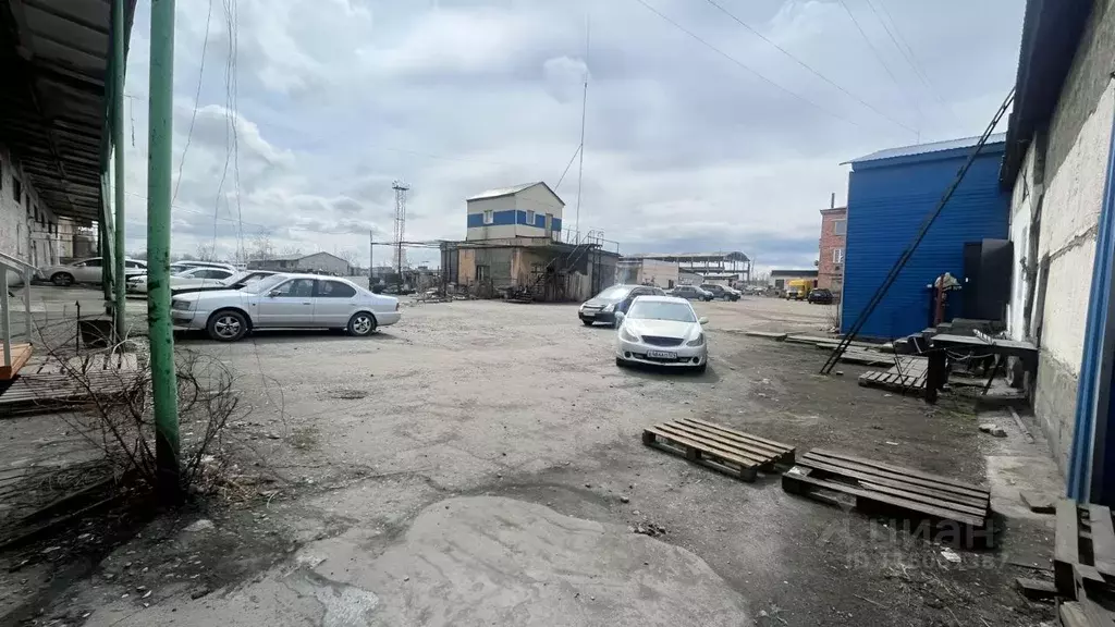 Помещение свободного назначения в Тыва, Кызыл ул. Калинина, 17 (65 м) - Фото 0