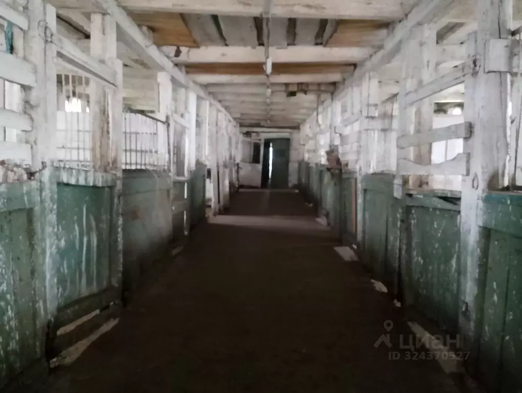 Помещение свободного назначения в Хакасия, Абакан ул. Маршала Жукова, ... - Фото 1