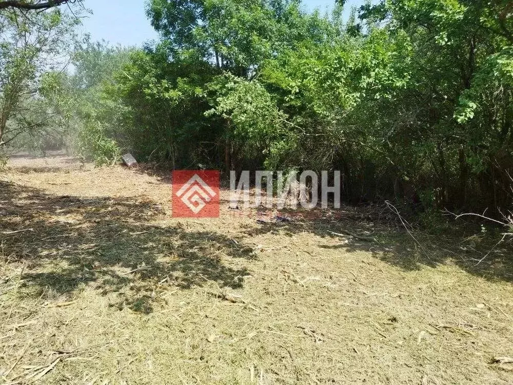 Участок в Севастополь с. Кизиловое, ул. Лесная, 405 (5.0 сот.) - Фото 2