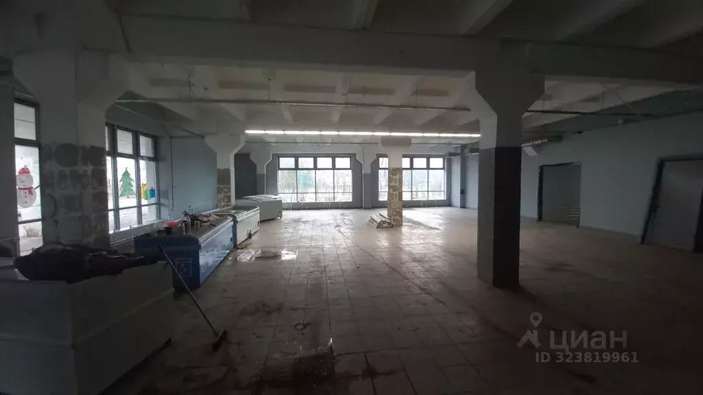 Помещение свободного назначения в Смоленская область, Починковский ... - Фото 1