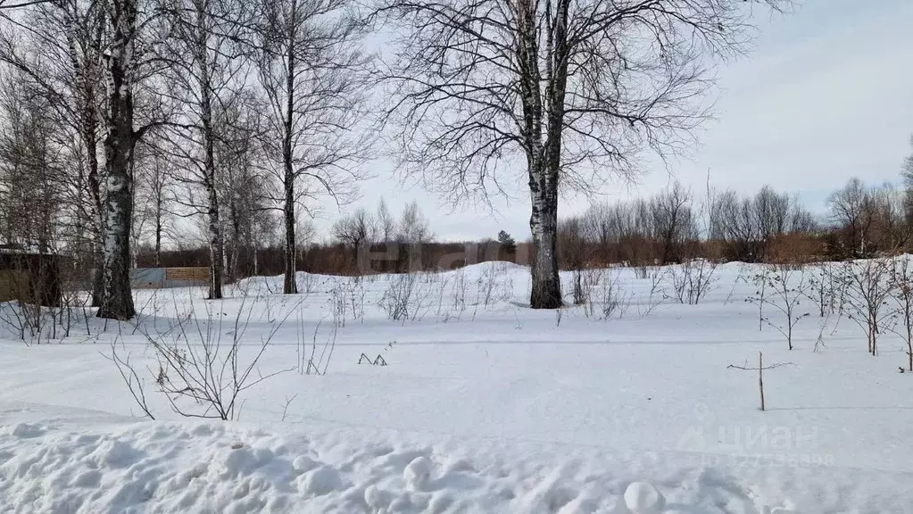 Участок в Новосибирская область, Коченевский район, Тальник СНТ ул. ... - Фото 2