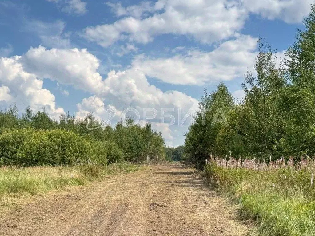 Участок в Тюменская область, Нижнетавдинский муниципальный округ, пос. ... - Фото 1