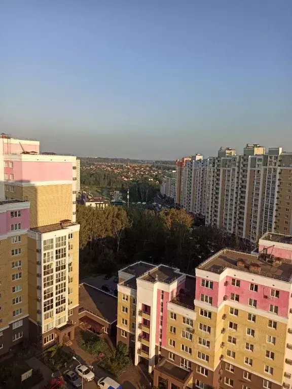 2-к кв. Московская область, Ленинский городской округ, д. Сапроново, ... - Фото 1