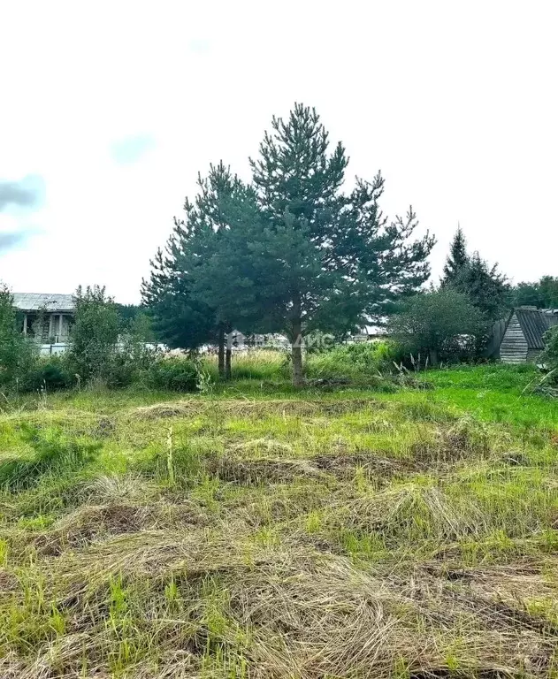 Участок в Калужская область, Боровск Калужская ул. (10.0 сот.) - Фото 2