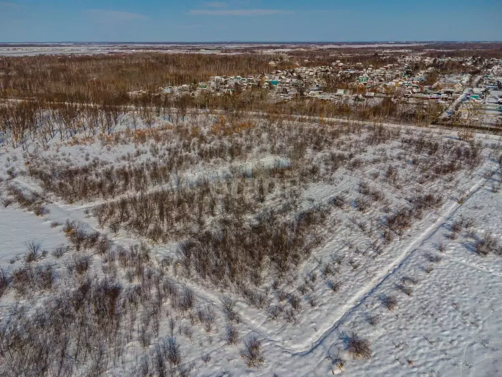 Участок в Еврейская автономная область, Смидовичский район, с. ... - Фото 0