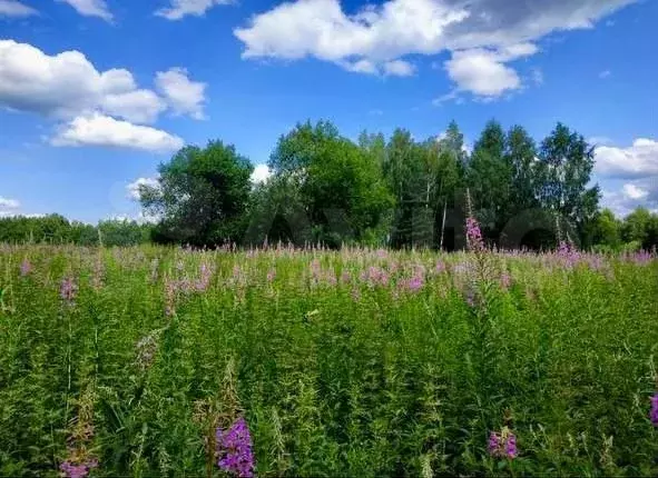 Участок 1 сот. (ИЖС) - Фото 0