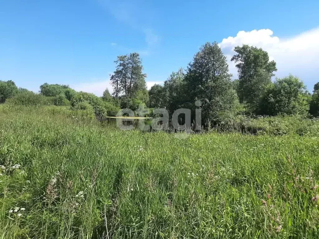 Участок в Костромская область, Костромской район, Никольское с/пос, ... - Фото 1