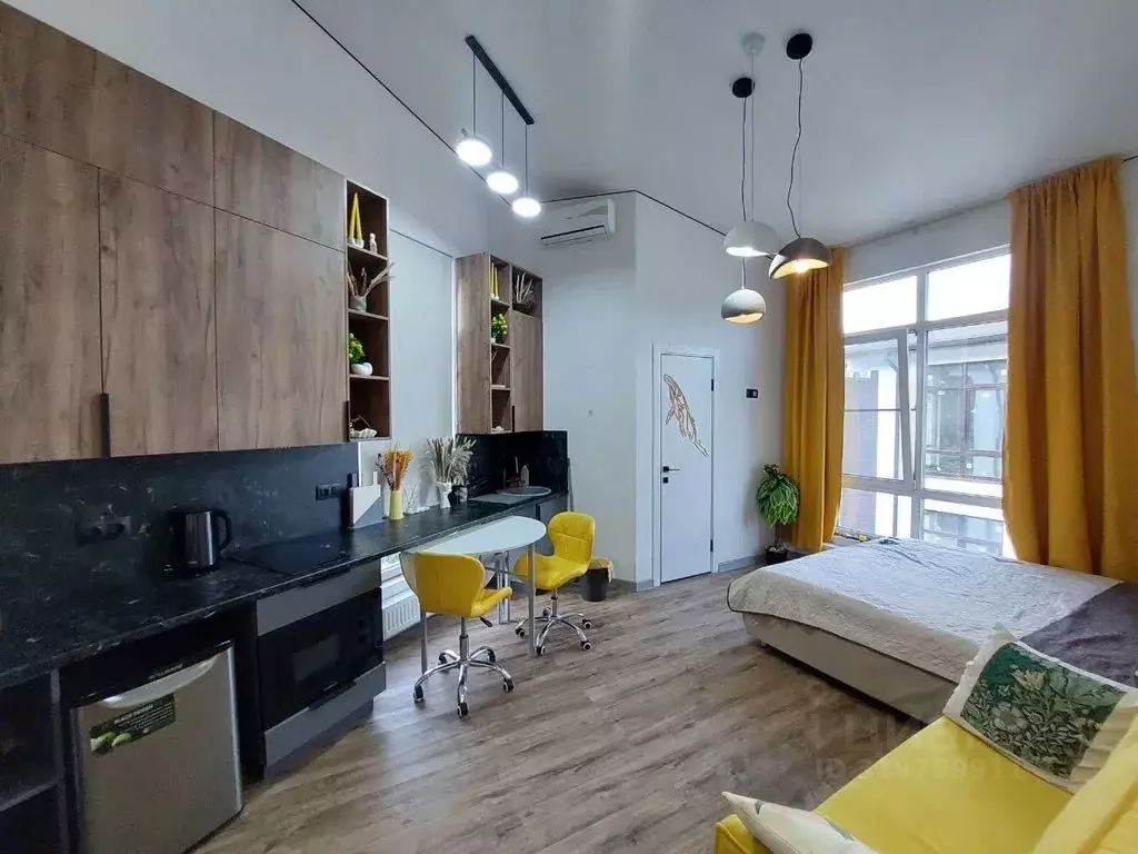 Студия Краснодарский край, Сочи городской округ, с. Веселое ул. ... - Фото 1