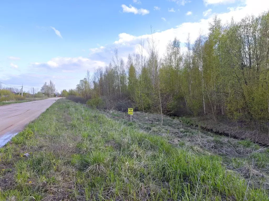 Участок в Новгородская область, Новгородский район, Ракомское с/пос  ... - Фото 1
