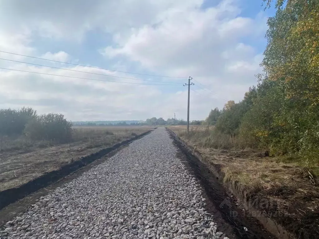 Участок в Московская область, Раменский муниципальный округ  (6.0 ... - Фото 1