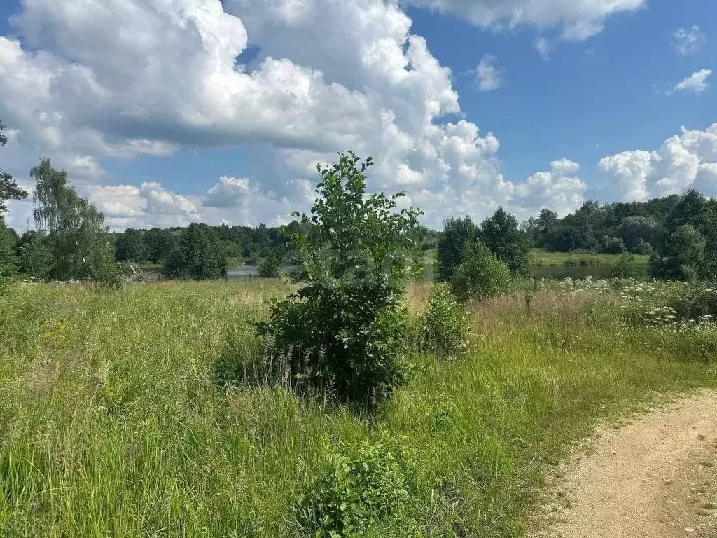 Участок в Калужская область, Жуковский район, Совхоз Чаусово с/пос, ... - Фото 2