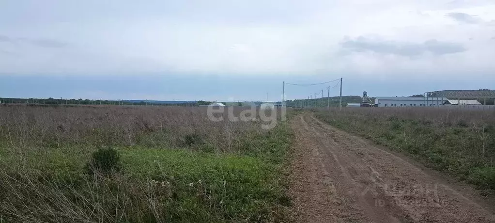 Участок в Воронежская область, Семилукский район, с. Девица, Поречье-2 ... - Фото 0