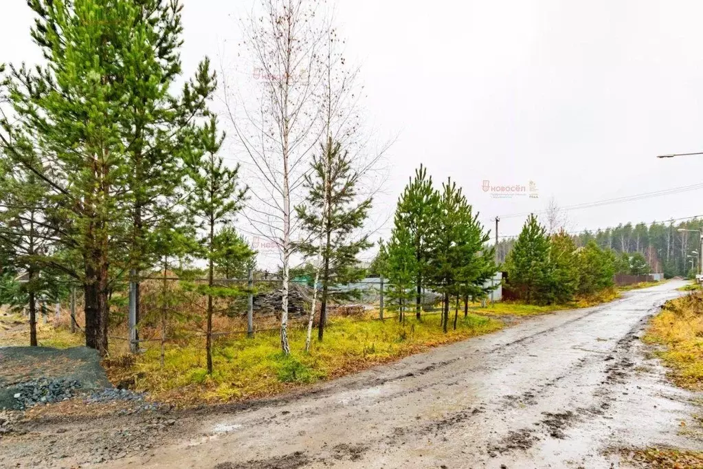 Участок, 10 сот., поселения (ижс) - Фото 1