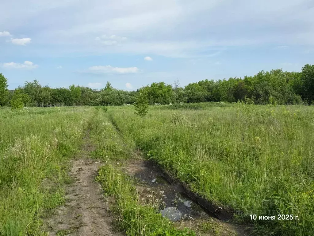 Участок в Новосибирская область, Новосибирский район, Плотниковский ... - Фото 1