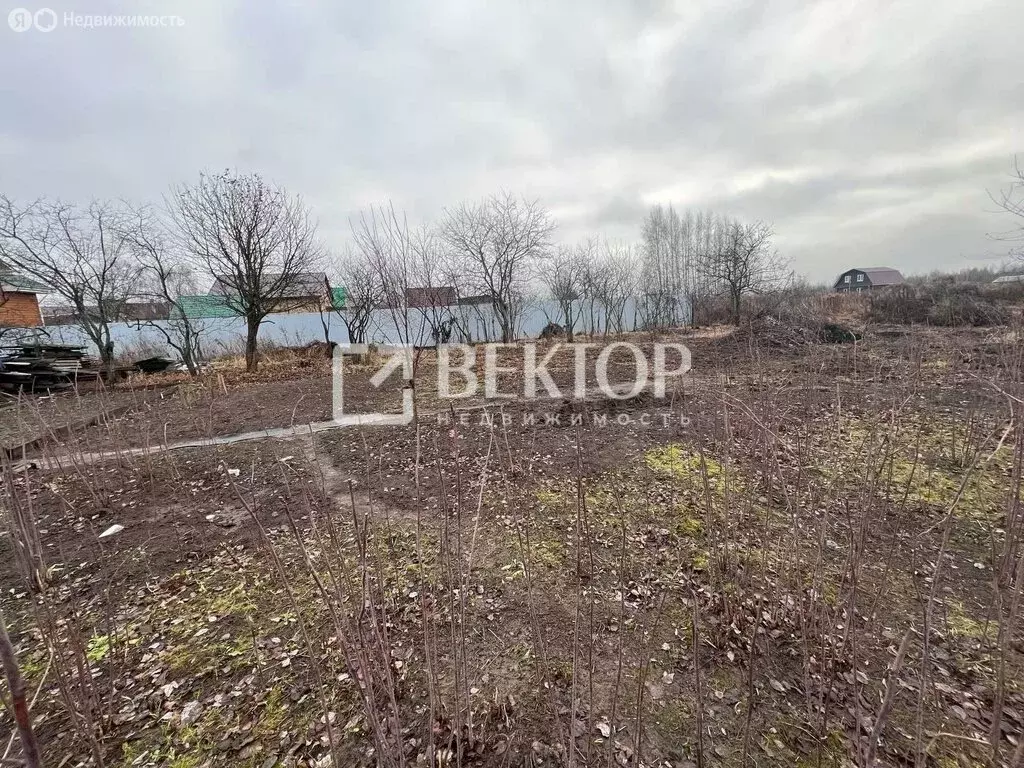 Участок в Ярославский муниципальный округ, деревня Ченцы ... - Фото 2