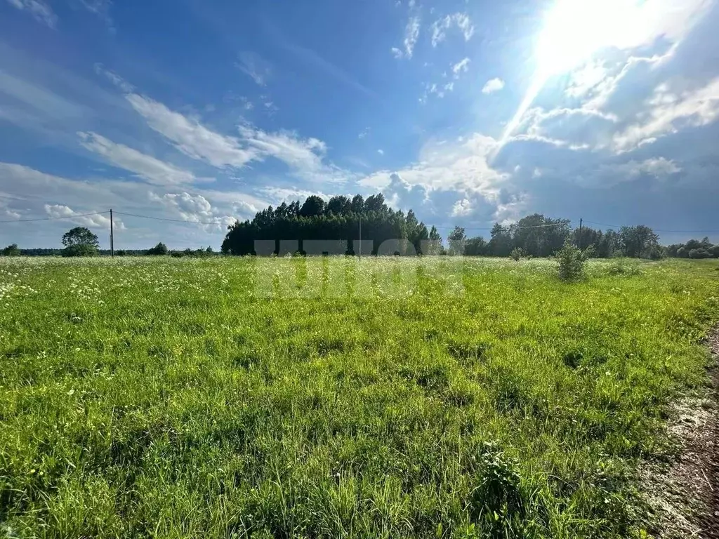 Участок в Вологодская область, Усть-Кубинский муниципальный округ, д. ... - Фото 2