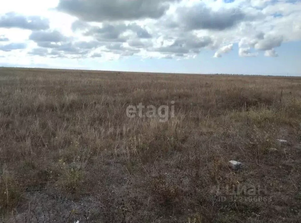 Участок в Крым, Черноморский район, Оленевское с/пос, с. Калиновка ул. ... - Фото 1