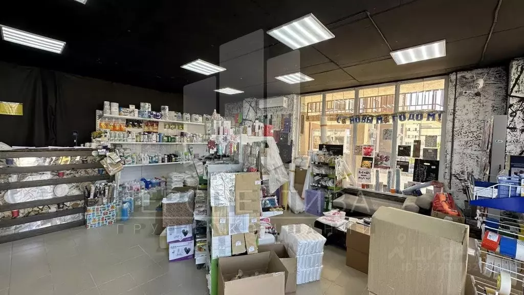 Помещение свободного назначения в Краснодарский край, Новороссийск ... - Фото 1