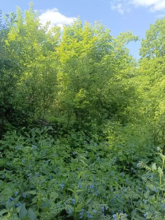 Участок в Нижегородская область, Нижний Новгород пос. Малиновая Гряда, ... - Фото 2
