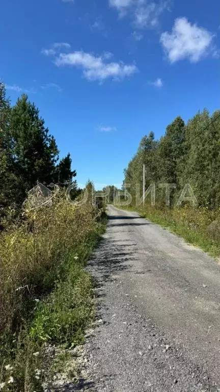Участок в Тюменская область, Нижнетавдинский район, Сундукуль СНТ  ... - Фото 1