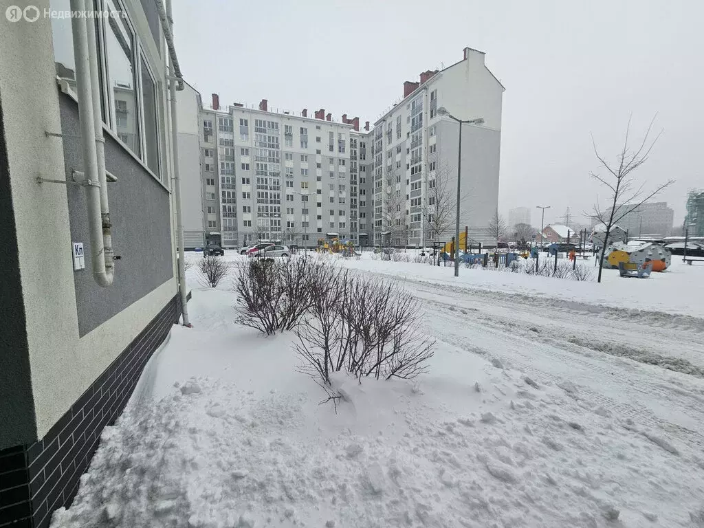 2-комнатная квартира: Калининград, улица Маршала Жукова, 4 (65 м) - Фото 2