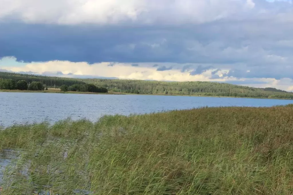 Участок в Нижегородская область, Богородский район, д. Инютино  (1.5 ... - Фото 1