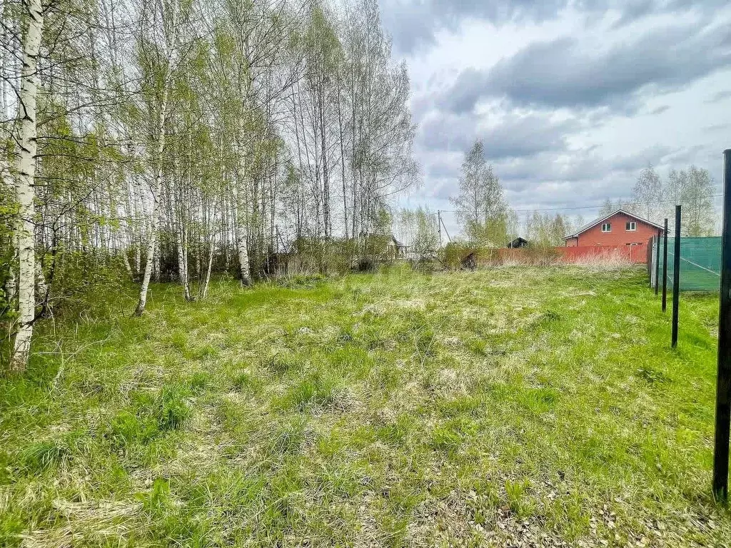 Участок в Ярославская область, Ярославский муниципальный округ, Новые ... - Фото 1