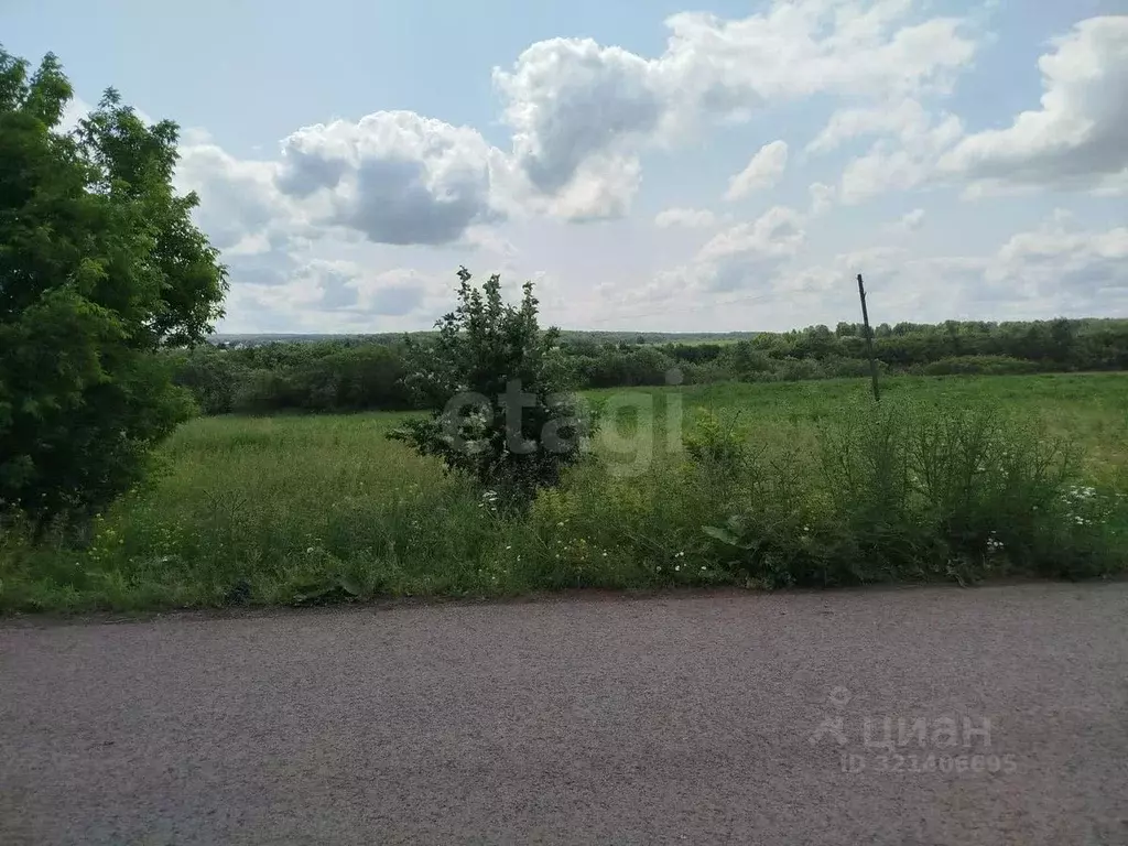 Участок в Кемеровская область, Кемеровский район, с. Ягуново Заречная ... - Фото 2