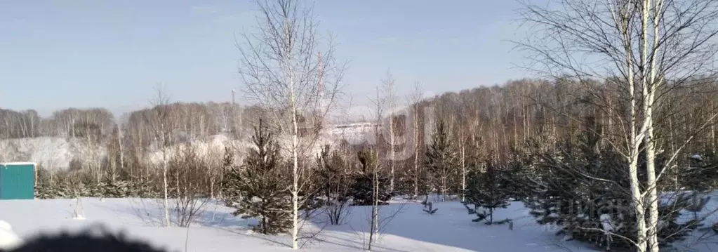 Участок в Томская область, Томский район, д. Новомихайловка, Кедры ДНП ... - Фото 1