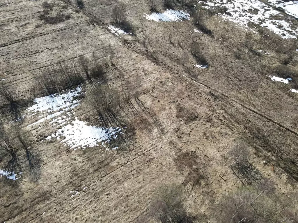 Участок в Московская область, Лотошино муниципальный округ, д. ... - Фото 2