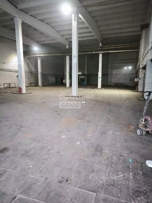 Помещение свободного назначения в Краснодарский край, Северская ст-ца ... - Фото 1