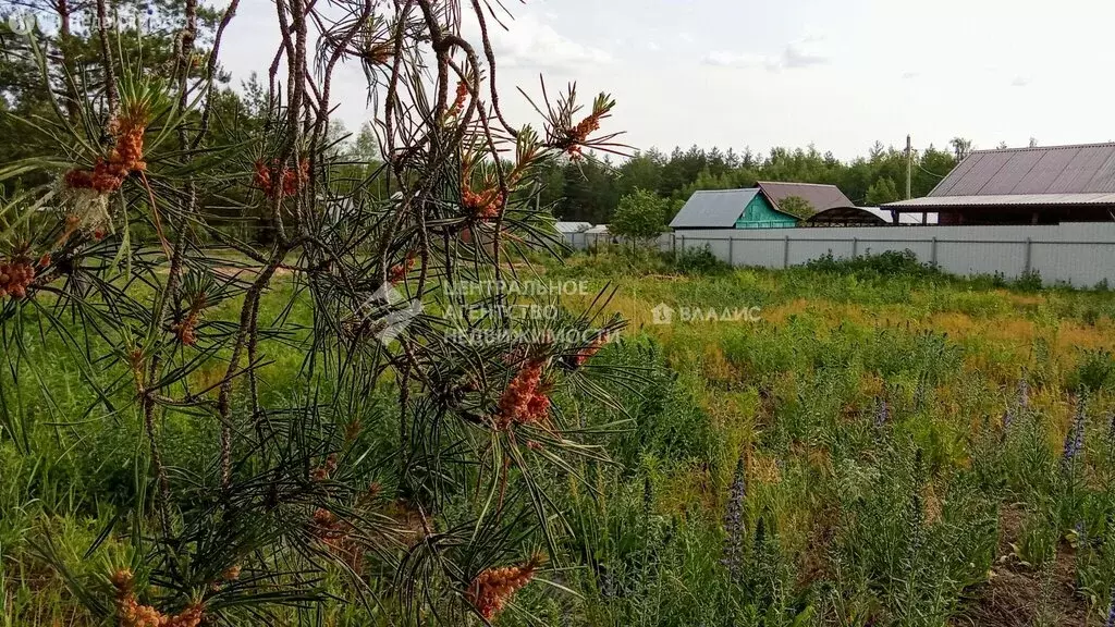 Участок в Мурминское сельское поселение, садоводческое товарищество ... - Фото 1