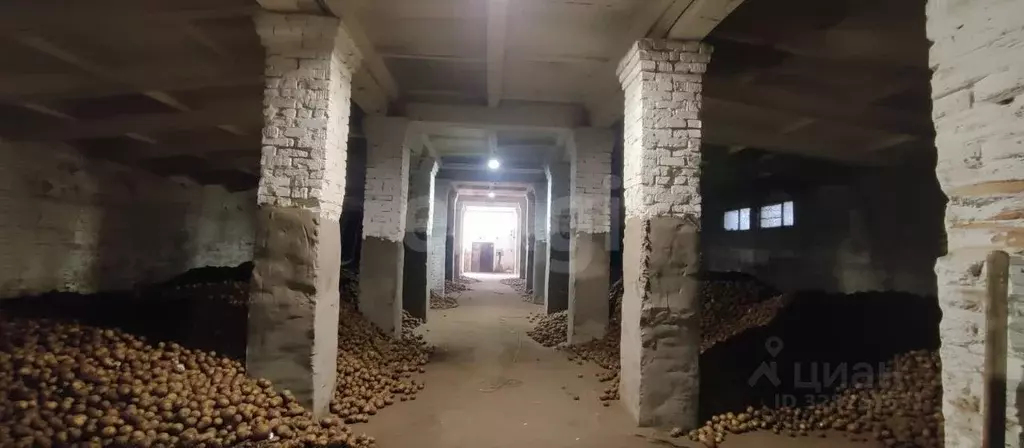 Склад в Новосибирская область, Искитимский район, Чернореченский ... - Фото 1