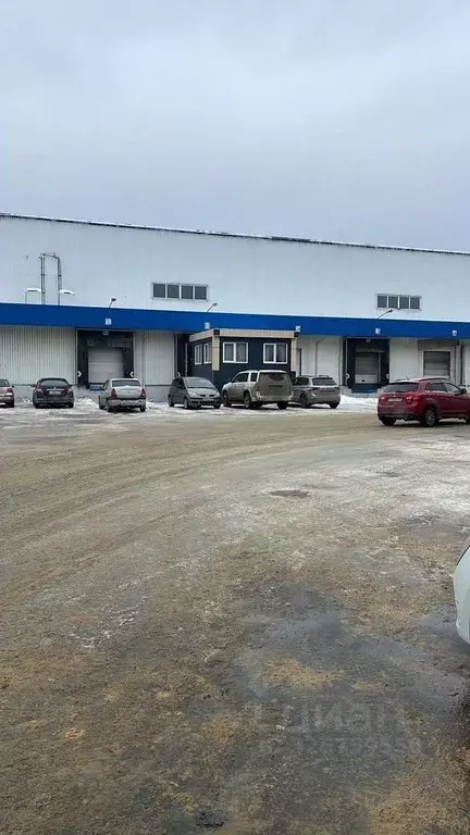 Склад в Московская область, Видное проезд Проектируемый № 251, вл1 ... - Фото 2