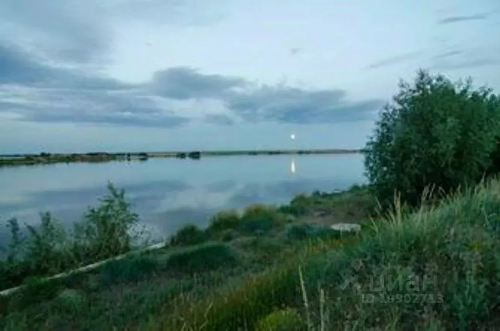 Димитрово. Димитрова водохранилище Оренбург. Димитровское водохранилище Оренбургская область. Дмитровское водохранилище Оренбург. Дмитриевское водохранилище Оренбургской области.