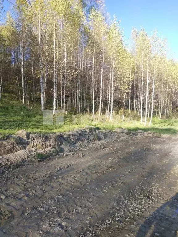 Участок в Кемеровская область, Таштагол Красногвардейская ул., 41 ... - Фото 1