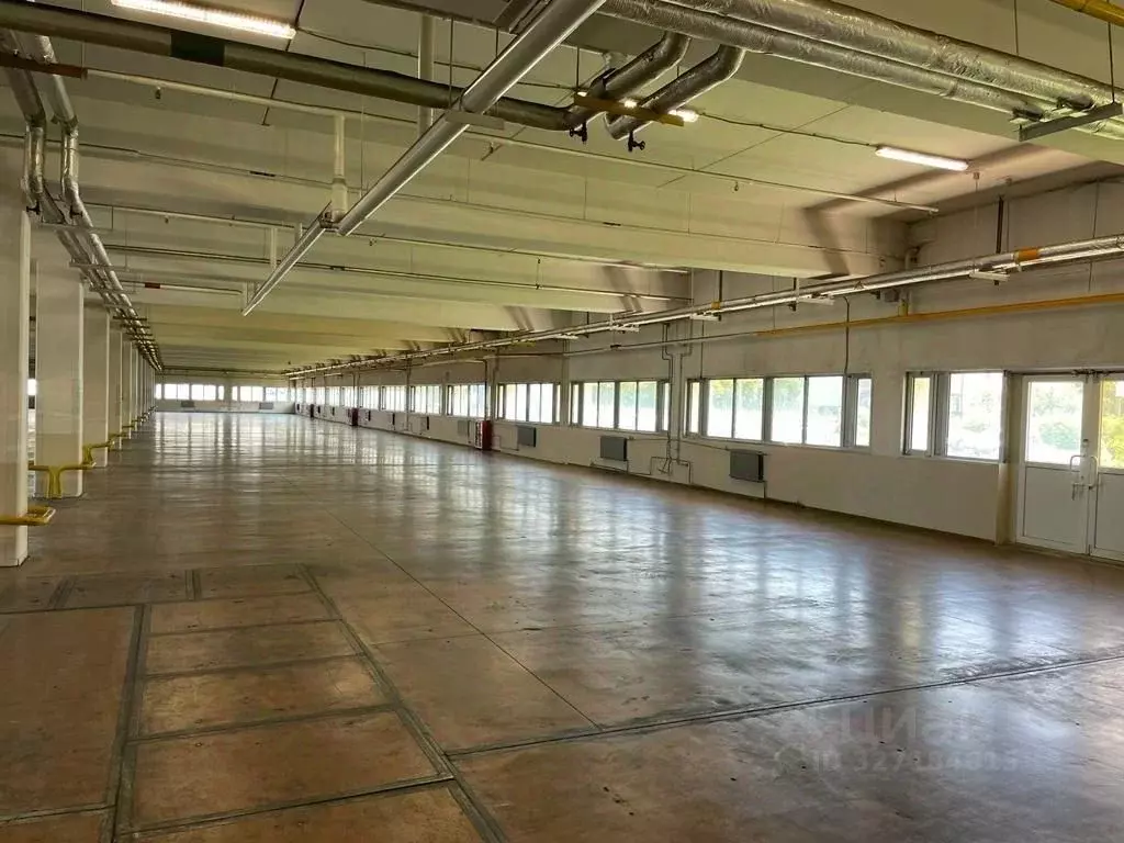 Склад в Калужская область, Калуга Тарутинская ул., 171Б (3700 м) - Фото 2