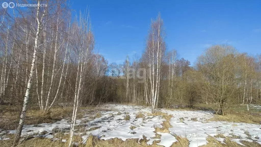Участок в Московская область, городской округ Серпухов, СНТ Бобровое ... - Фото 0